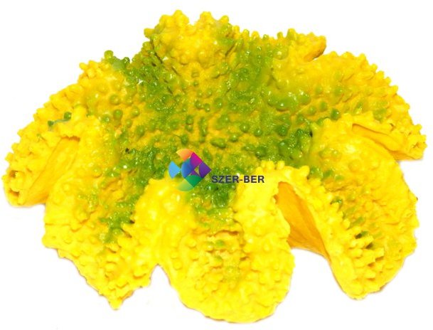 Decorațiune de acvariu coral galben - zoom