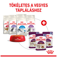 Royal Canin Sensory Smell Jelly - Zselés felnőtt macska nedves táp fokozott illattal #8