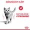 Royal Canin Light Weight Care - Száraz táp felnőtt macskák részére az ideális testsúly eléréséért