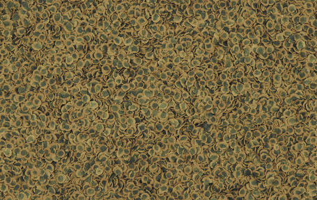 Tetra Pro Algae Multi-Crisps lemezes díszhaltáp