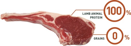 Bravery Dog Adult Medium/Large Grain Free Lamb