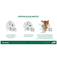 Advantage 80 spot on macskáknak és nyulaknak #6