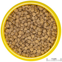 JBL ProNovo Fantail Grano #4