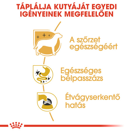 Royal Canin Chihuahua Adult - Csivava felnőtt kutya  nedves táp