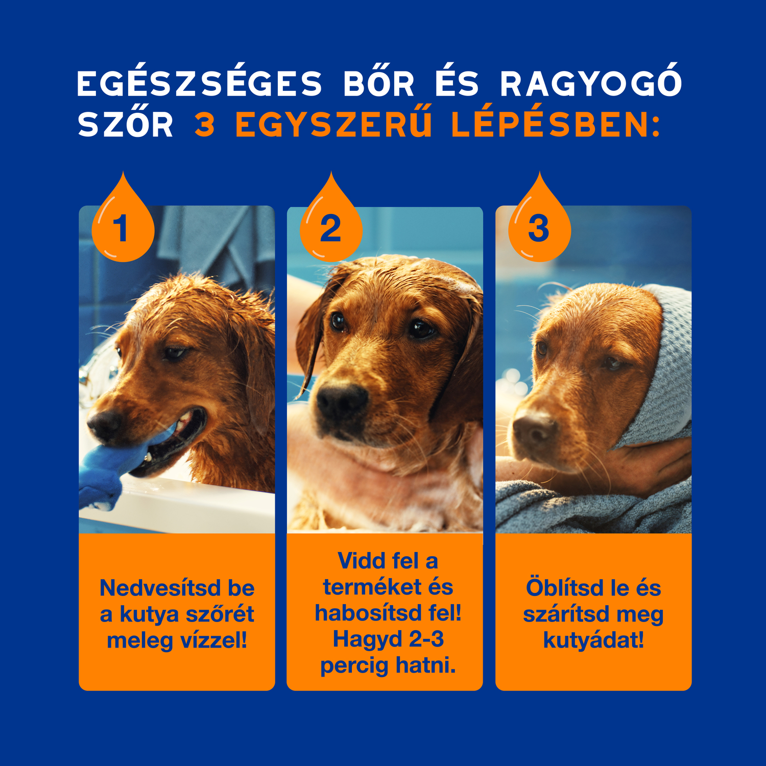 Douxo Spa șampon descurcant pentru câini - zoom