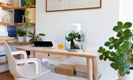 AquaEl Shrimp Set Day & Night