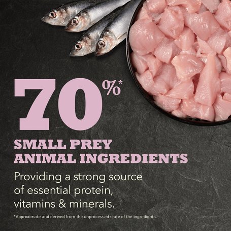 Acana First Feast eledel kölyökmacskáknak