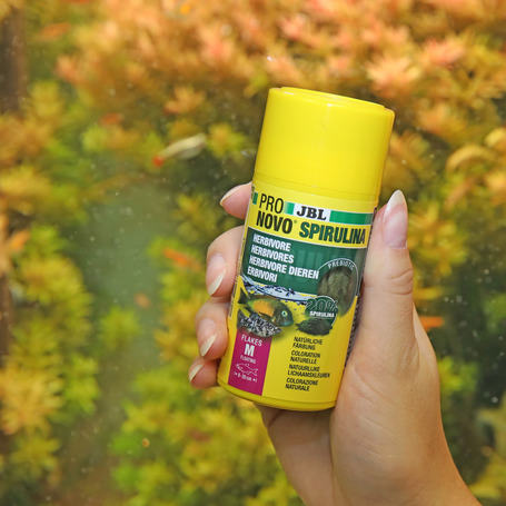JBL ProNovo Spirulina Flakes M pehelytáp növényevő halaknak