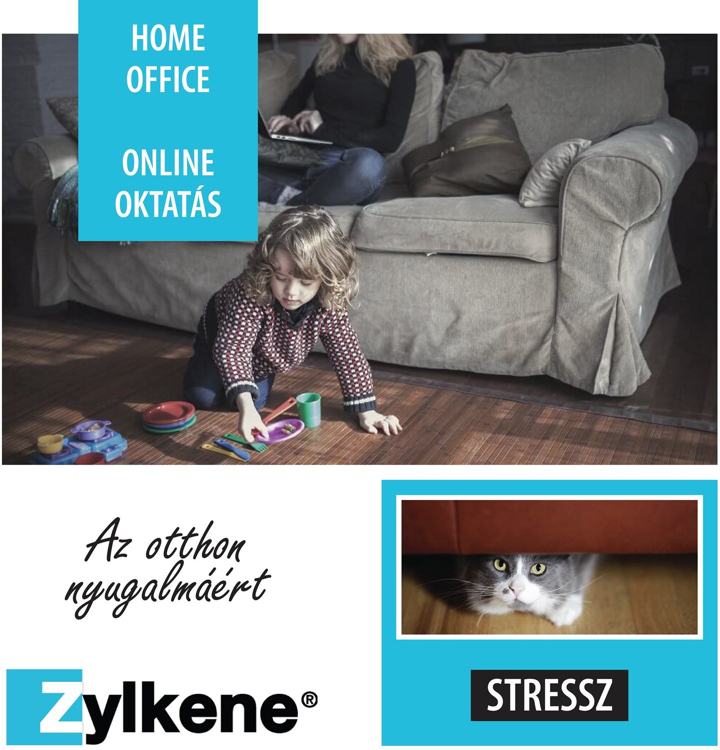 Zylkéne antistres, capsule de calmare pentru pisici și câini de talie medie - zoom