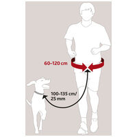 Trixie Dog Activity öv pórázzal, zsebekkel közepes testű kutyáknak #5