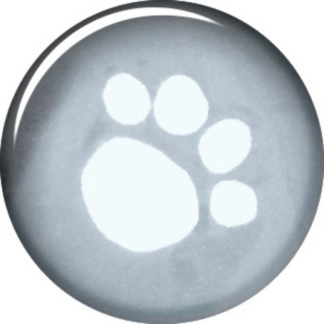 Praktikus vízhatlan esőkabát fekete szegéllyel kutyáknak