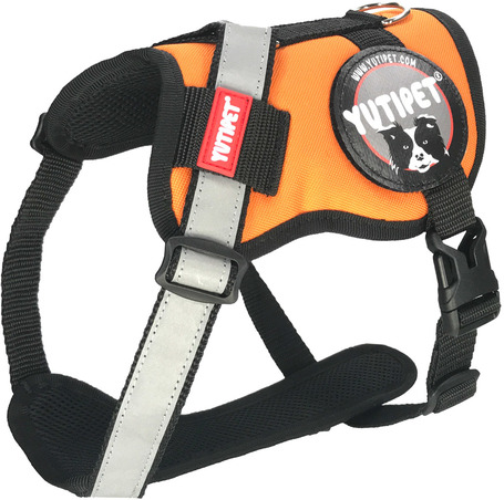 Yutipet RnD párnázott biztonsági kutyahám (Narancssárga)