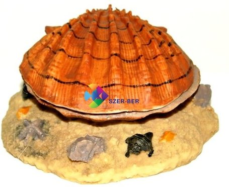 Barna kagyló levegőporlasztós akvárium dekoráció