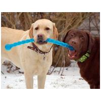 Kong Safestix kutyajáték #4