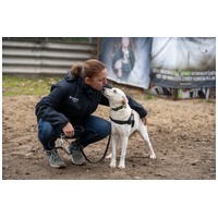 Odett, árva leány kutya #6