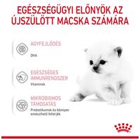 Royal Canin Babycat Milk - tejpótló tápszer kölyökmacska részére #2