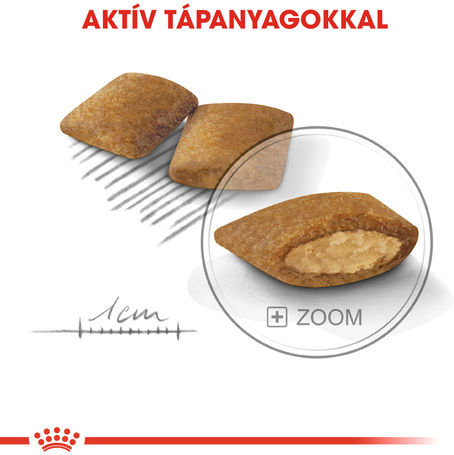 Royal Canin Mini Exigent - Válogatós felnőtt kistestű kutya száraz táp