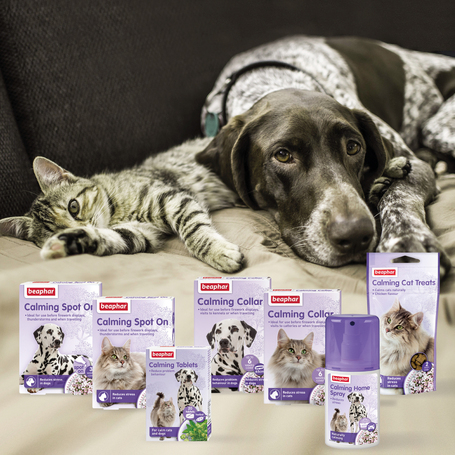 Beaphar Calming Home Spray - Nyugtató spray