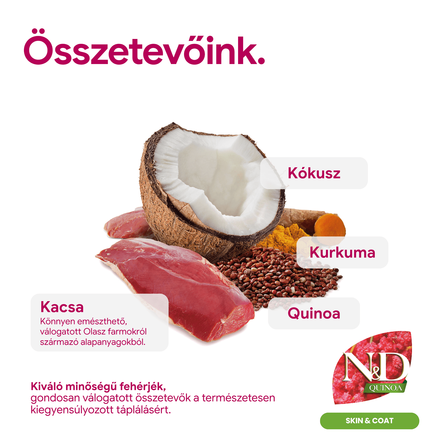 N&D Dog Grain Free Quinoa Skin & Coat Duck – Bőr- és szőrproblémákra | Szuperprémium kutyatáp