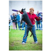 Puller fitnessz/ügyességfejlesztő karikák kutyáknak #11