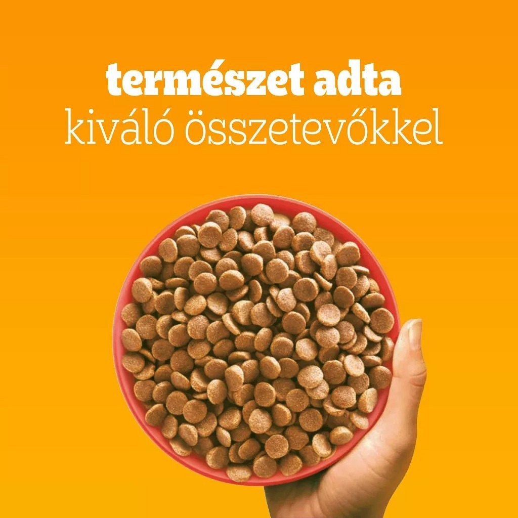 Pedigree Adult Mini marhahúsos és zöldséges száraztáp