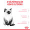 Royal Canin Kitten - Kölyök macska száraz táp