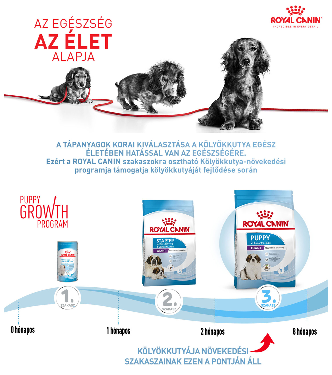 Royal Canin Puppy Giant táp - Információk
