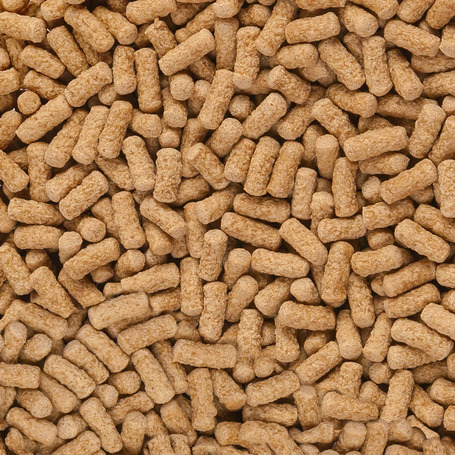 Sera Raffy Mineral víziteknős táp