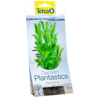 Tetra Hygrophila plantă ornamentală acvariu