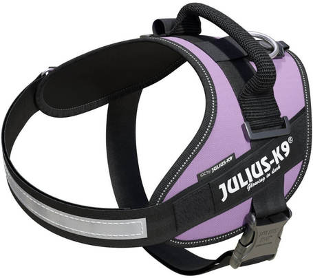 Julius-K9 IDC lila powerhám kutyáknak