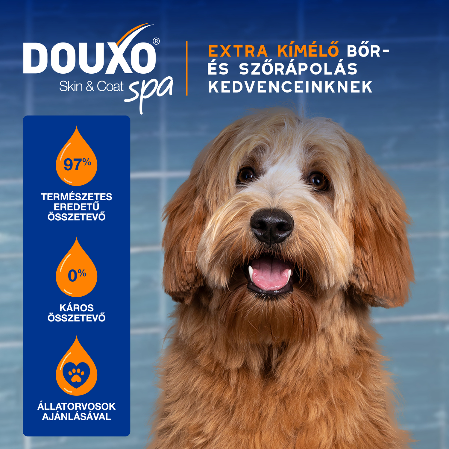 Douxo Spa spray descurcant pentru câini - zoom