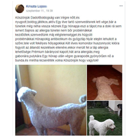 Dado Hypoallergenic Puppy Mini Fish & Rice | Hipoallergén halas táp kistestű kölyökkutyáknak #15