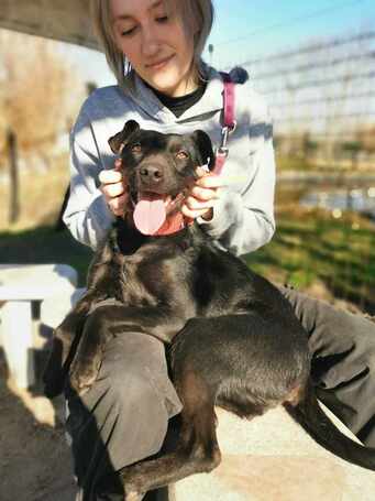 Lilien kutyus gazdit keres