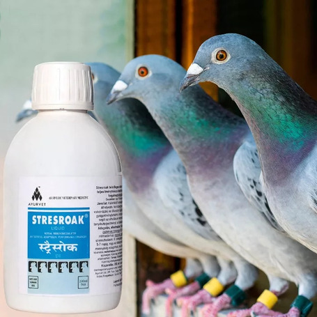 Stresroak stressz elleni, immunerősítő itatófolyadék