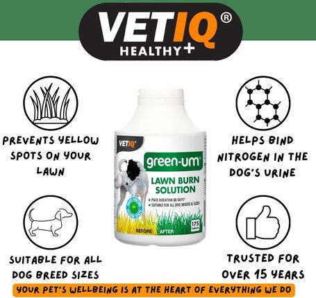 Vetiq Green-UM tabletta a zöld pázsitért