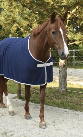 Covalliero RugBe Economic polár lótakaró