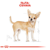 Royal Canin Chihuahua Adult - Csivava felnőtt kutya száraz táp #2