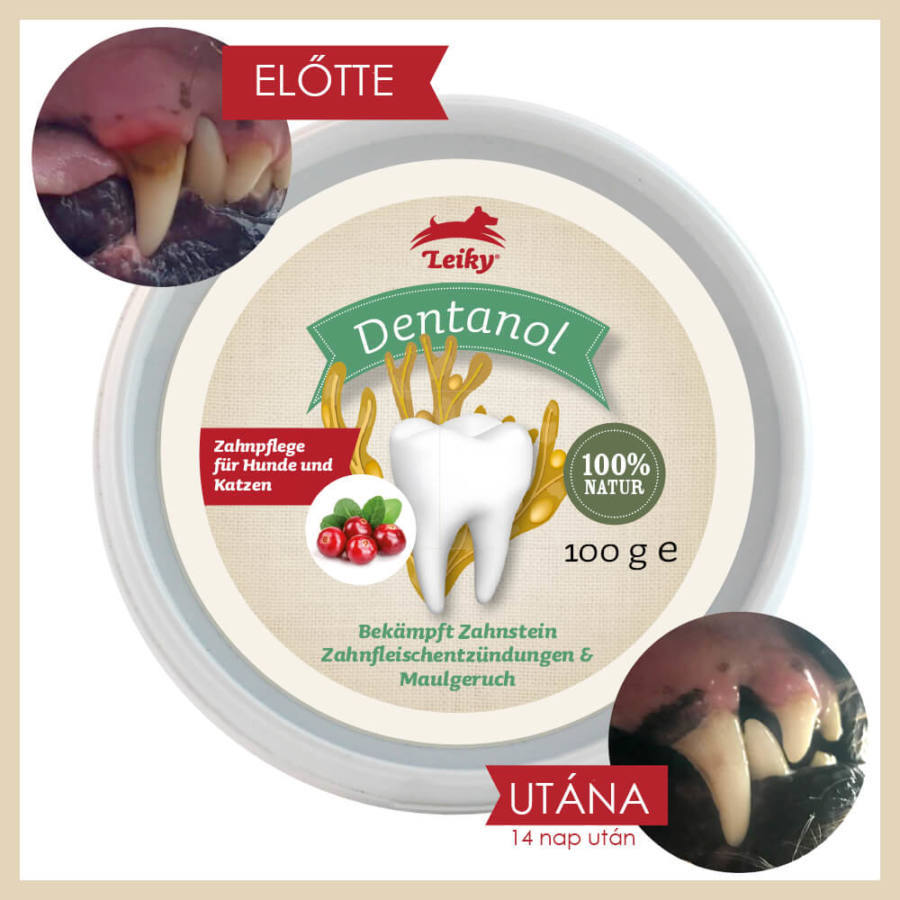 Leiky Dentanol pudră 100% naturală pentru tartru, gingivită și respirație urât mirositoare pentru câini și pisici - zoom