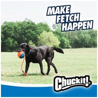 Chuckit! Rope Fetch labda kötéllel kutyáknak #6