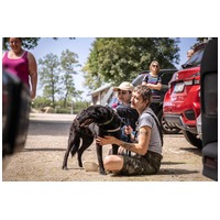 Ábel, 4 éves, 55 cm magas, kan #12