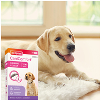 Beaphar CaniComfort feromonos nyugtató nyakörv kölyökkutyáknak #4