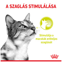 Royal Canin Sensory Smell Jelly - Zselés felnőtt macska nedves táp fokozott illattal #2