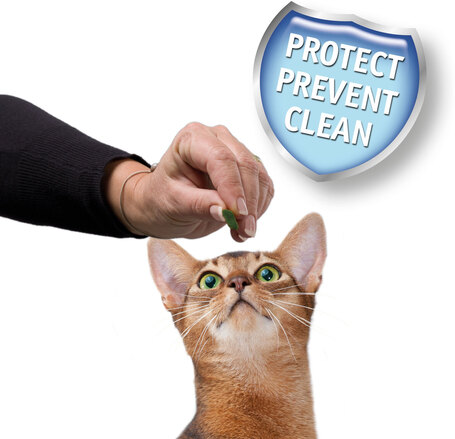 Beaphar Easy Dental Treat macskáknak