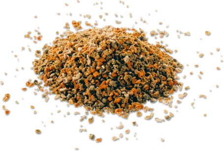 TetraMin Granules szemcsés díszhaltáp