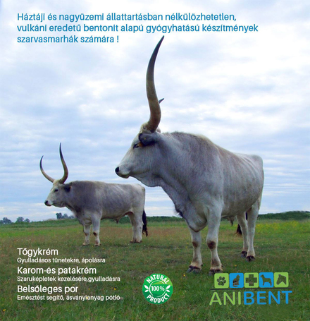 Anibent bentonit alapú tőgykrém