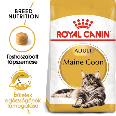 Royal Canin Maine Coon Adult - Maine Coon felnőtt macska száraz táp