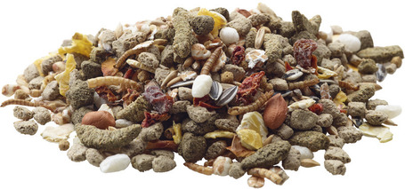 Versele-Laga Premium Nature Rat patkányeledel