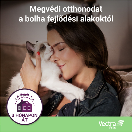 Vectra Felis bolhák elleni spot on macskáknak