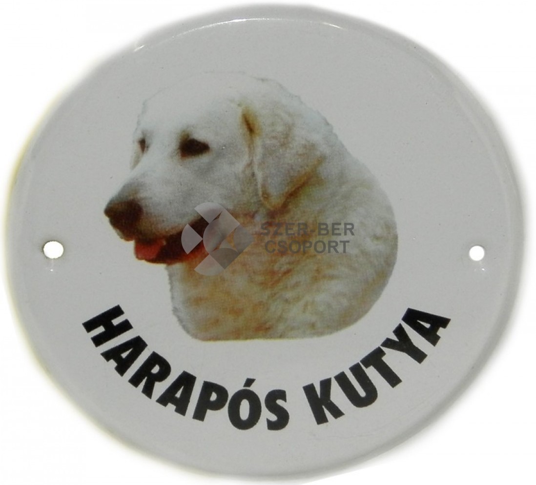 Plăcuță metalică de avertizare pentru zona păzită cu câine | Labrador 10 cm