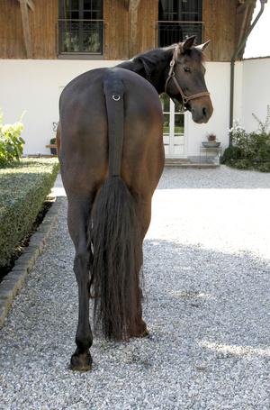 Kerbl farokvédő lovaknak a faroktő és a szőr védelmére